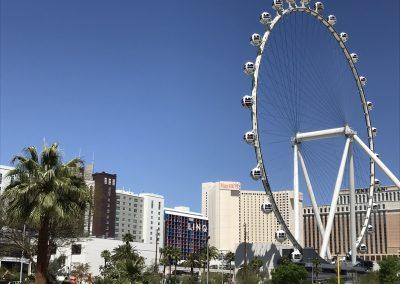 The LINQ