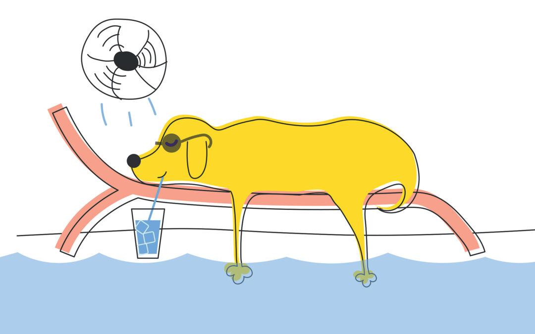 How to Master ‘Staying Cool’ during the Dog Days of Las Vegas Summer