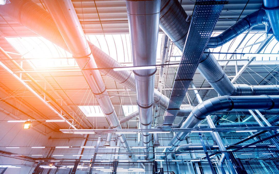 Why is now the time to care for the unsung hero of summer?